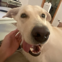 LaDoña