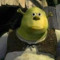 Shrekinnnaaa
