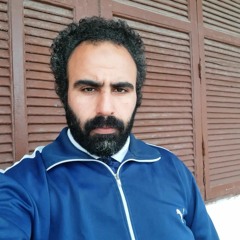 Ayman ElSherbini