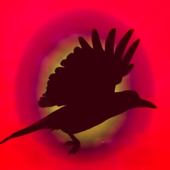 David Lowell Stevens