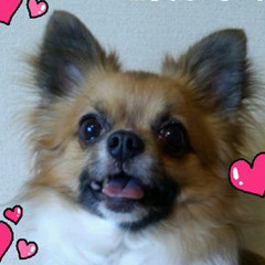 ❤︎乙女向❤︎ドラマCD🎧