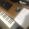the musician and the instruments