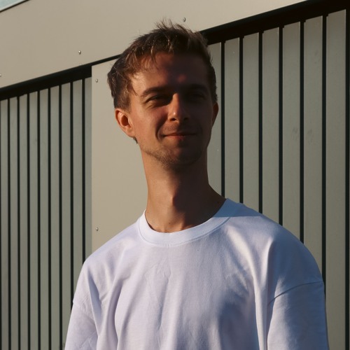Shweve artist photo
