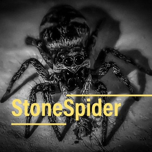 StoneSpider’s avatar