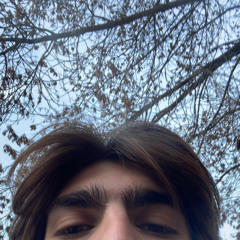 Mono Nikolov