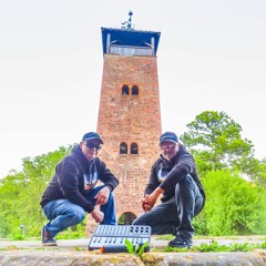 Turmwächter & Turmfalke