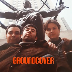 Groundcover (formerly Coral)