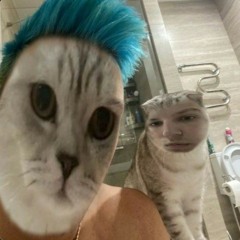 s̠̒͑̄k͖ͩi̔͘b͓i̎ͭd̹̮͛i̯͎̓