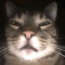 meow