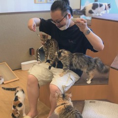 Chαosbeatz a.k.a DJ $ΗΙΠ.