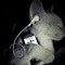 lxcqwz