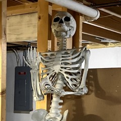 SPV