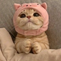 Suumgurl