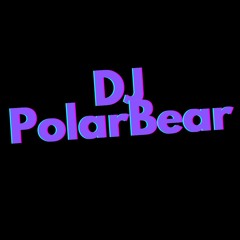 DJ PolarBear