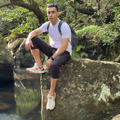 zgollihamed9