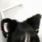 TofuWolf
