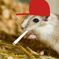 Lil Gerbil