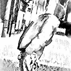 RY-1