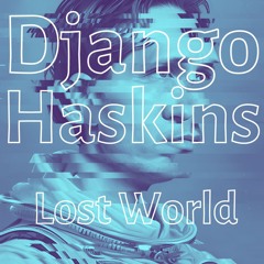 Django Haskins