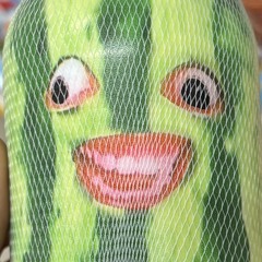 roikpoy