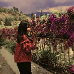 SanGayy TsəRi Đen