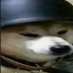 ГОЛОВКА РЕПКИ