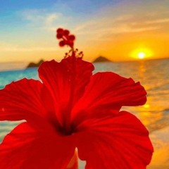 Darielle&Dar🦋🌼