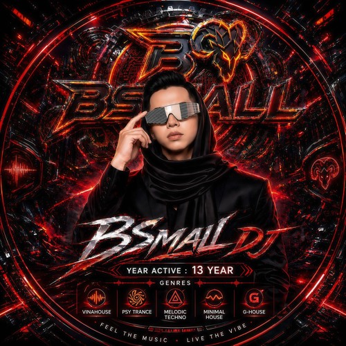 BSmalL DJ 🌟 [ Chính Chủ ] artist photo