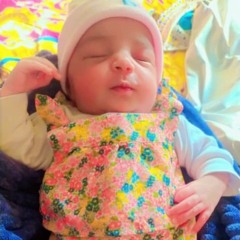 AHMED abd elfatah