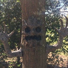 frighteyes