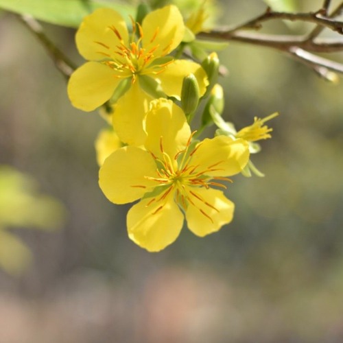 Ngàn Lần Anh Yếu Đuối... Chẳng Thể Tìm Được Em - Những Bản Lofi Freak D Mix Chill Nhẹ Nhàng