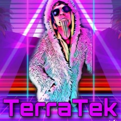 TerraTeK - TeknoPunX Soundsystem