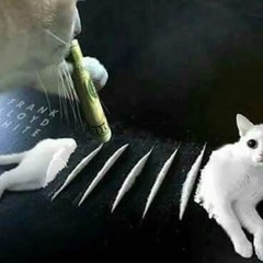 3517