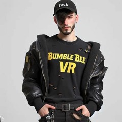 Bumble Bee VR