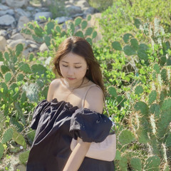 Chlovy