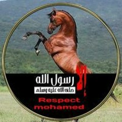 Sayed Elwensh