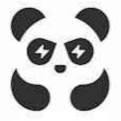 chinaplugpl