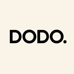 DODO