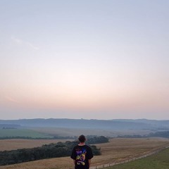 Araucarian Haze
