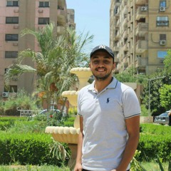 Youssef Alsherbeni