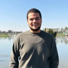 Khaled EL-Hefnawy
