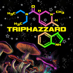 TripHazzard