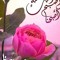 صباح الخير