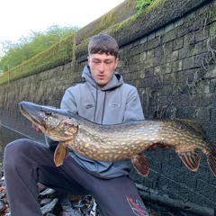 ethanwoodhall18