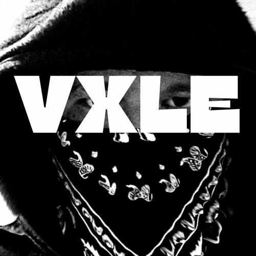 VXLE’s avatar