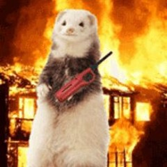 your house is on fier