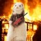 your house is on fier