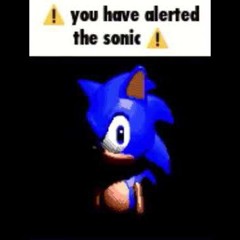 YOUHAVEALERTTHESONIC