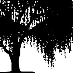 Thinking Willow Music