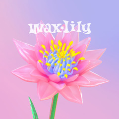 Waxlily